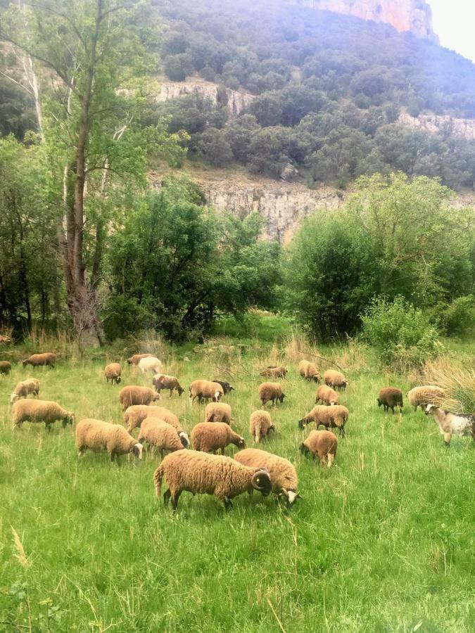 Apartamento Rural La Cascada De Calmarza Luaran gambar