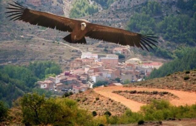 Apartamento Rural La Cascada De Calmarza Luaran gambar