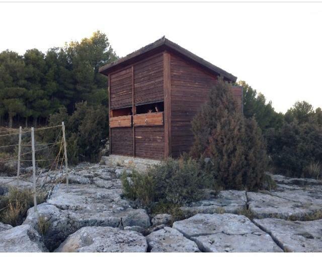 Apartamento Rural La Cascada De Calmarza Luaran gambar